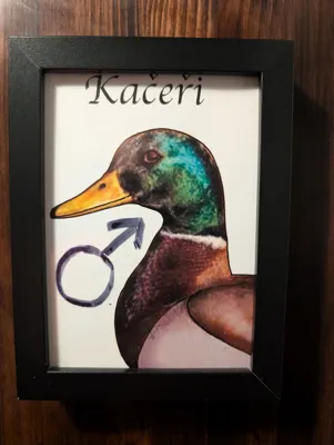 Men's sign