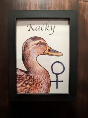 Women's sign
